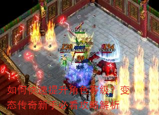 如何快速提升角色等级?变态传奇新手必看攻略解析 如何快速提升角色等级?变态传奇新手必看攻略解析