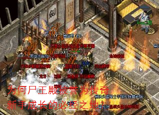 为何尸王殿被誉为传奇新手成长的必经之地? 为何尸王殿被誉为传奇新手成长的必经之地?
