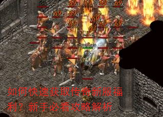 如何快速获取传奇新服福利?新手必看攻略解析 如何快速获取传奇新服福利?新手必看攻略解析