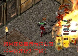 �������Ѫ���洿������п��������ȼ���