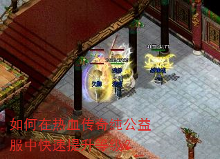 �������Ѫ���洿������п��������ȼ���